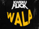 Kweku Flick – Wala