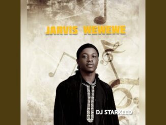 dj starkeed jarvis wewewe